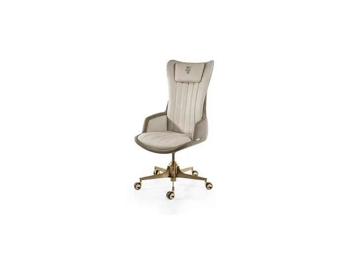 1172 Desk Chairs
